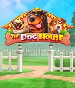 Из Pragmatic Play приходит The Dog House, предлагающий веселое приключение в мире очаровательных собак. Участвуйте в игровых элементах таких как липкие "вайлды", направленных на доставления радостных моментов. Обязательно для любителей животных забавную атмосферу с шансом на крупные выигрыши.